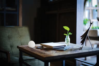 Airthings Wave Mini smart luftkvalitetsmåler med mugg-indikator 292