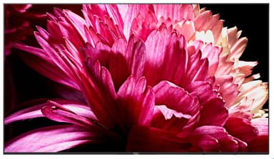 Sony 65" XG95 4K UHD LED Smart TV KD65XG9505