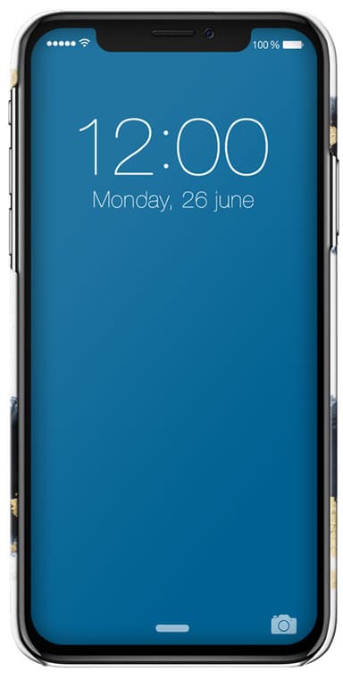 iDeal motedeksel til Apple iPhone X/XS (Gleaming Licorice)