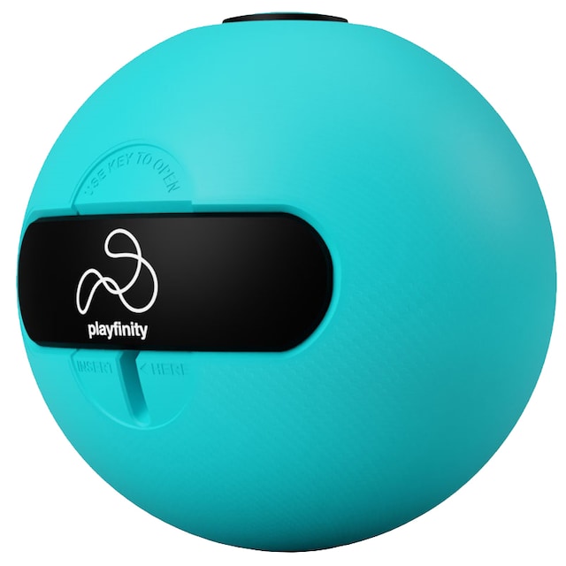 Playfinity Bouncy Ball ball