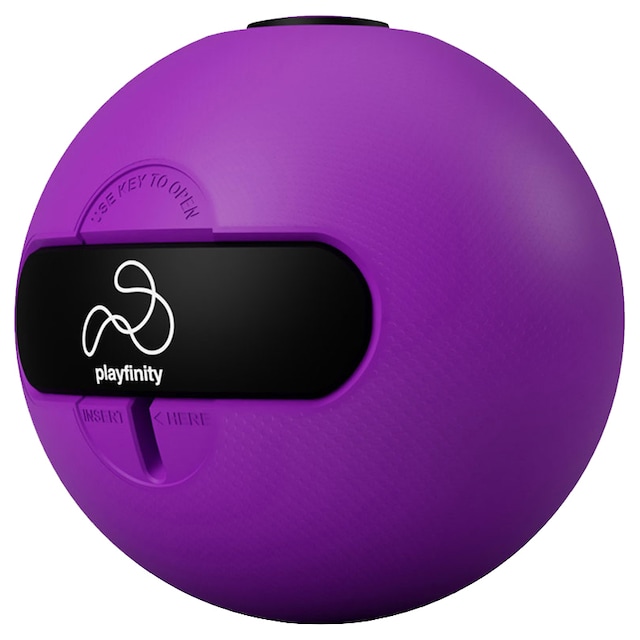 Playfinity Squeezy Ball ball
