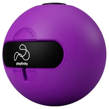 Playfinity Squeezy Ball ball