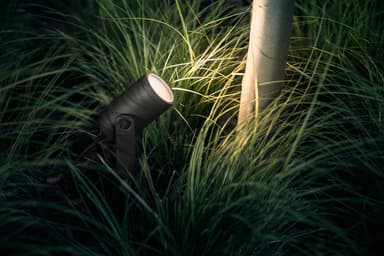 Philips Hue Lily utvidelse med pigg 1x8W (sort)