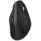 Sandstrøm SEGWM19 ergonomisk trådløs mus (sort)