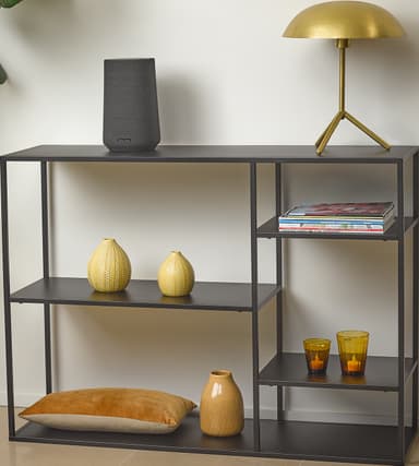 Harman Kardon Citation 100 MKII høyttaler (sort)