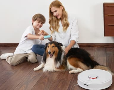 Xiaomi Roborock robotstøvsuger S60 (hvit)