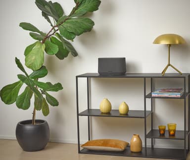 Harman Kardon Citation 300 høyttaler (sort)