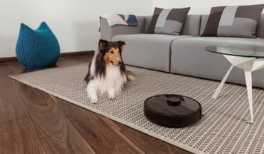 Xiaomi Roborock robotstøvsuger S65 (sort)