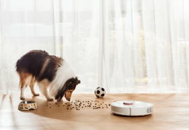 Xiaomi Roborock robotstøvsuger S60 (hvit)