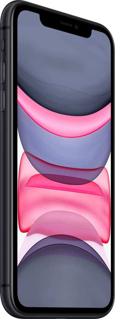 iPhone 11 256 GB (sort)