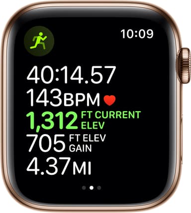 Apple Watch Series 5 44 mm (GPS + 4G)