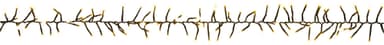 Nordic Season Premium Collection julelys EJ20619118