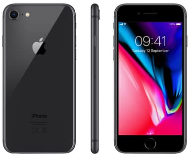 iPhone 8 256 GB (sort)