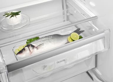 Electrolux frittstående kjøleskap LRC6MA36X