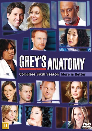 Greys Anatomy - Sesong 6 (DVD)