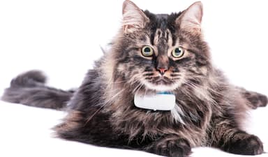 Tractive GPS-sporingsenhet til katt