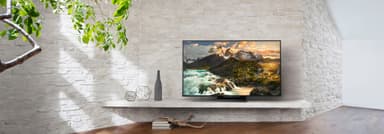 Sony 65" 4K UHD Smart TV KD-65ZD9