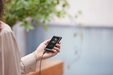 Sony Walkman 16 GB NW-A55 digital musikkspiller (sort)
