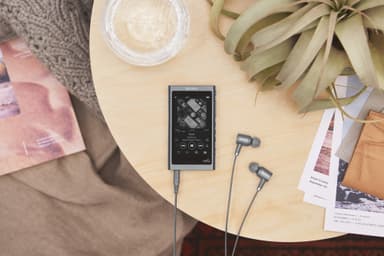 Sony Walkman 16 GB NW-A55 digital musikkspiller (sort)