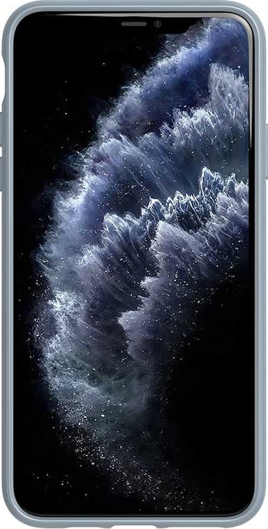 Tech21 Colour Studio deksel til Apple iPhone 11 Pro Max (grå)