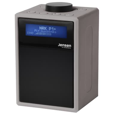 Jensen Buddy bærbar radio (grå)