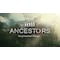 Ancestors: The Humankind Odyssey - PC Windows
