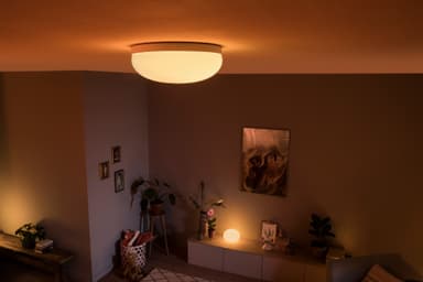 Philips Hue Flourish taklampe 4090531P9