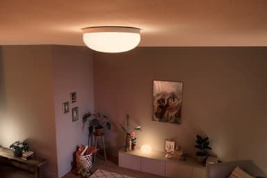 Philips Hue Flourish taklampe 4090531P9