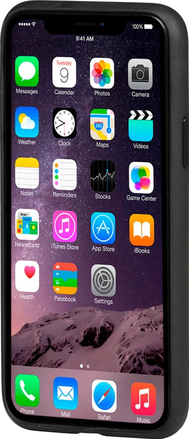 dbramante1928 Herning Apple iPhone 11 Pro deksel (sort)