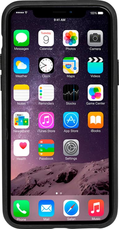 dbramante1928 Herning Apple iPhone 11 Pro deksel (sort)