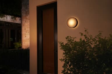 Philips Hue Daylo vegglampe 15W (sort)