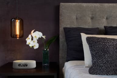 Harman Kardon Citation Oasis smart DAB+ alarmklokke (grå)
