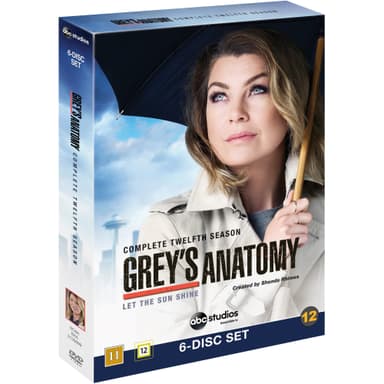 Grey s Anatomy: sesong 12 (DVD)