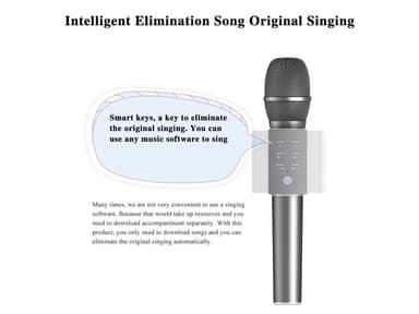 Karaoke mikrofon med Bluetooth høyttaler 5W sølv Karaoke mikrofon med innebygd Bluetooth høyttaler 5W