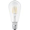 Ledvance Smart+ Edison LED lyspære 60W E27 151743
