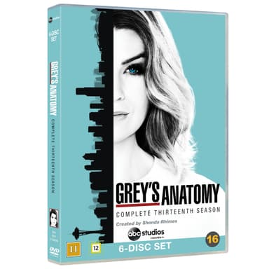 Grey s Anatomy - Sesong 13 (DVD)