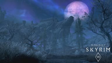 The Elder Scrolls V: Skyrim VR - PC Windows