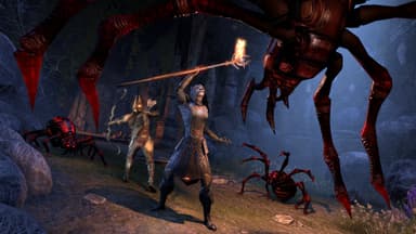 The Elder Scrolls Online Summerset - Digital Collector’s Edition - PC