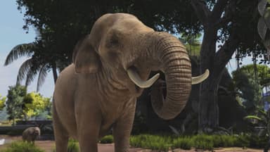 Zoo Tycoon: Ultimate Animal Collection - PC Windows