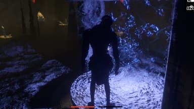 Hush Hush - Unlimited Survival Horror - PC Windows,Mac OSX