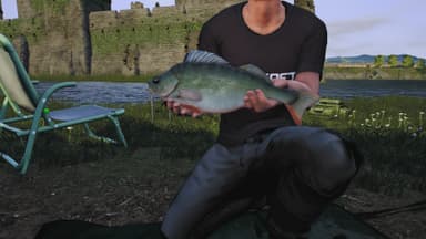Euro Fishing: Ultimate Edition - PC Windows