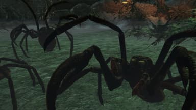 Demonicon The Dark Eye - PC Windows
