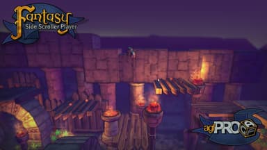 Axis Game Factory's AGFPRO Fantasy Side-Scroller Player - PC Windows,M