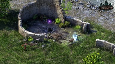 Pillars of Eternity Hero Edition - PC Windows,Mac OSX,Linux