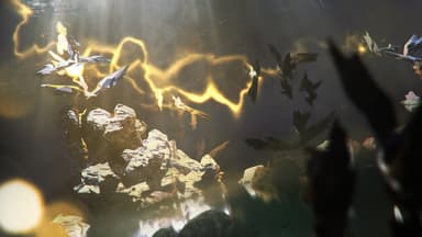 Endless Space 2 - Lost Symphony - PC Windows,Mac OSX