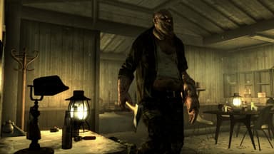 Fallout 3 Point lookout - PC Windows