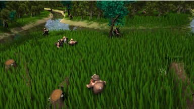Fallen Mage - PC Windows