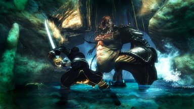 Risen 2: Dark Waters - PC Windows