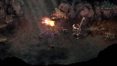 Pillars of Eternity Hero Edition - PC Windows,Mac OSX,Linux