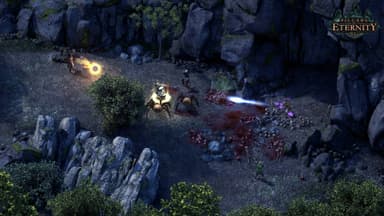 Pillars of Eternity Hero Edition - PC Windows,Mac OSX,Linux